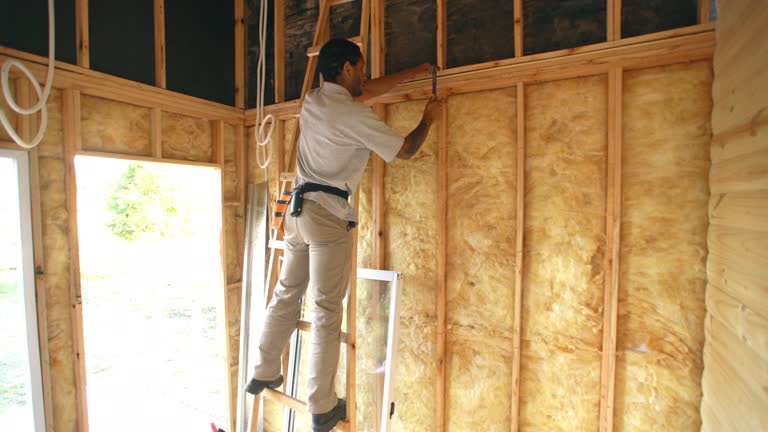 Best Basement Insulation  in Au Sable, MI